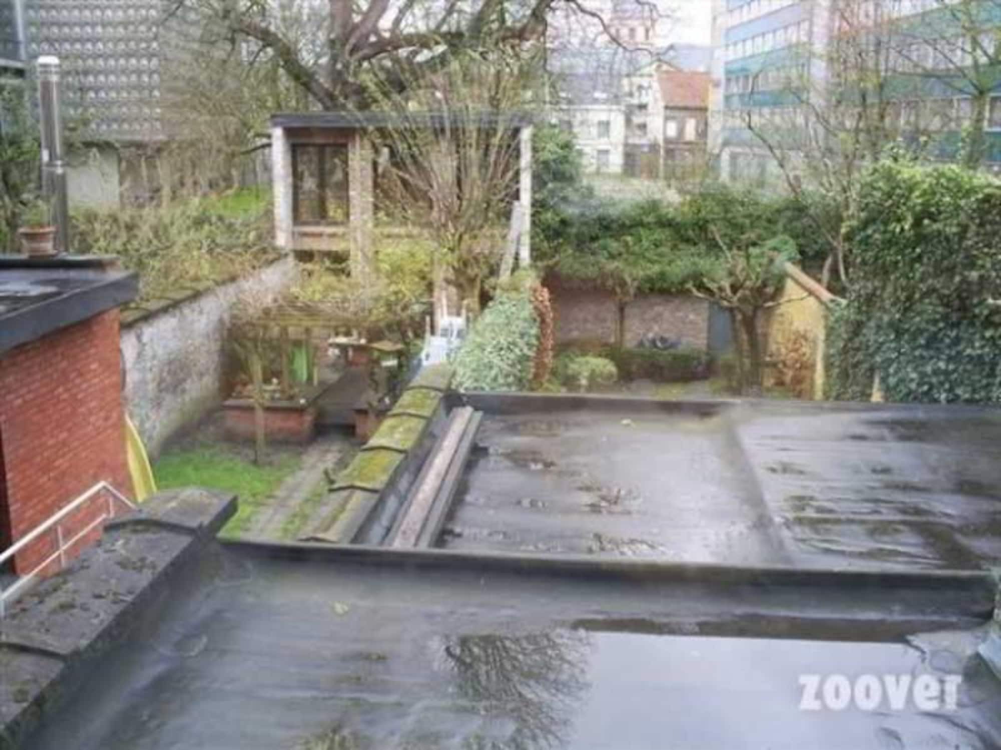 B&B Sparrow'S Nest Gent Dış mekan fotoğraf